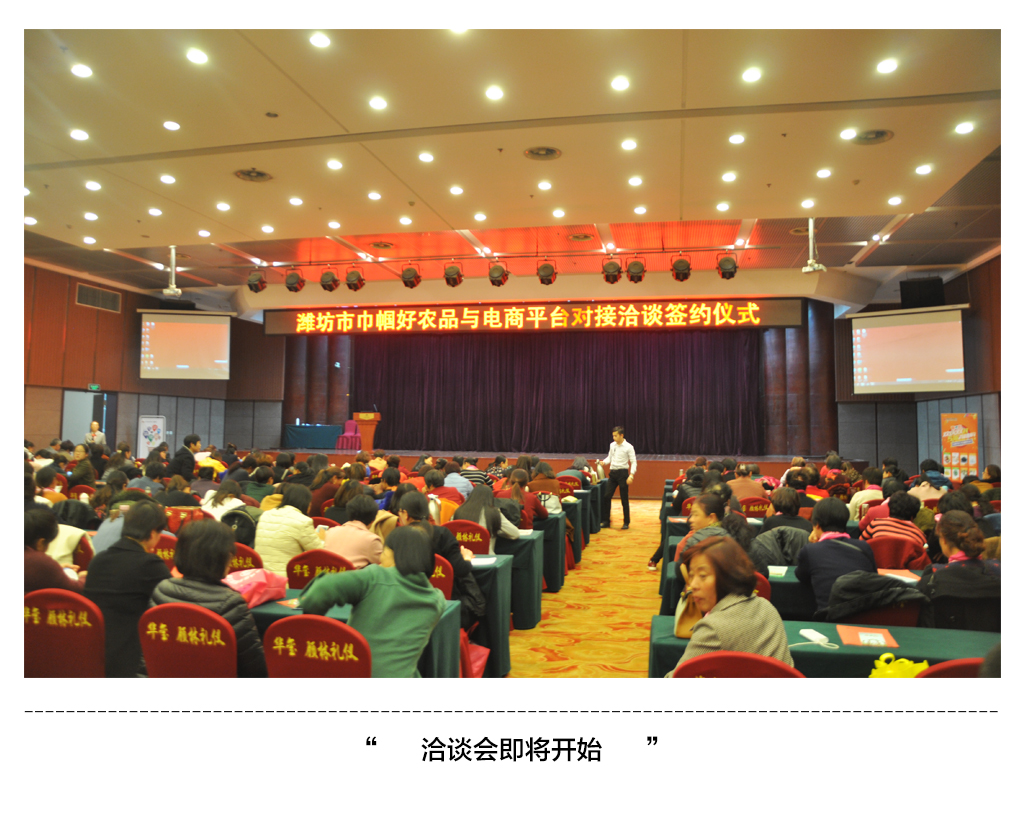 洽谈会1.jpg